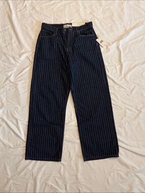 BDG Navy Pinstripe Wide-Leg Jeans